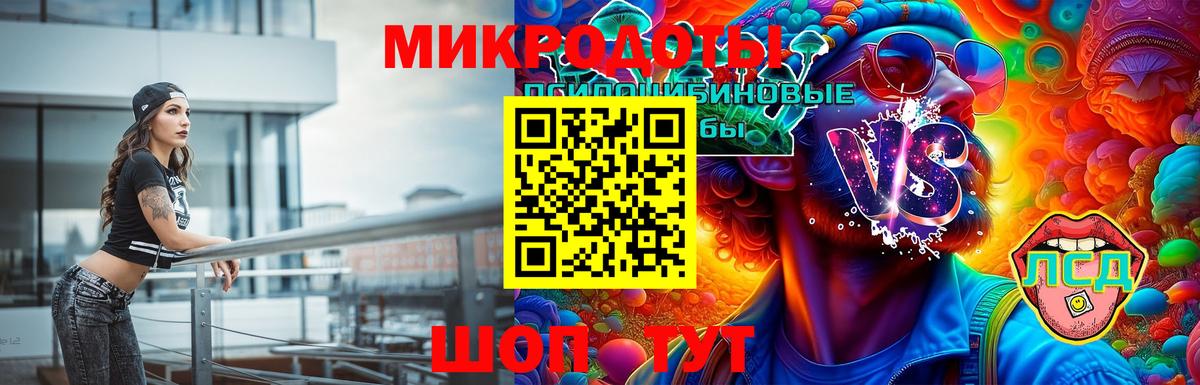 Вязники  Галлюциногенные грибы Psilocybine cubensis  Вход с VPN 